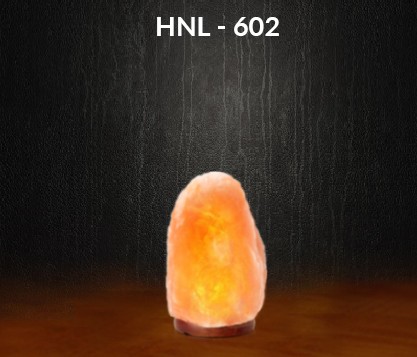 Pink Himalayan Salt Lamp 2