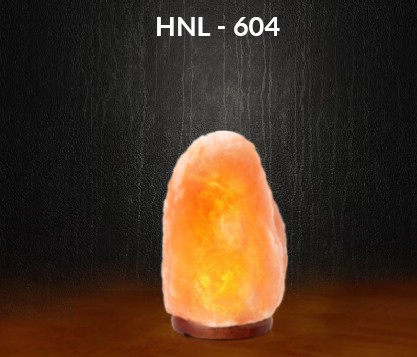 Pink Himalayan Salt Lamp 5