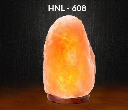 Pink Himalayan Salt Lamp 8