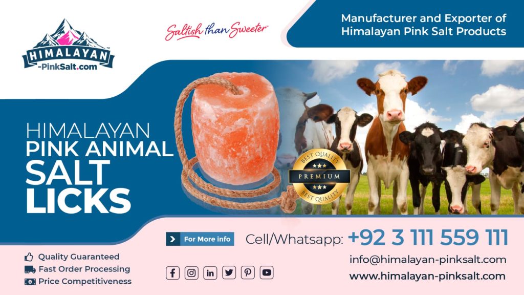 Himalayan pink animal salt | animal lick salt