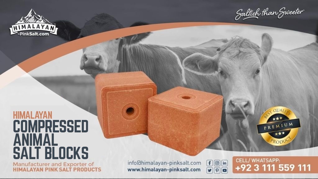 himalayan compressed animal salt block