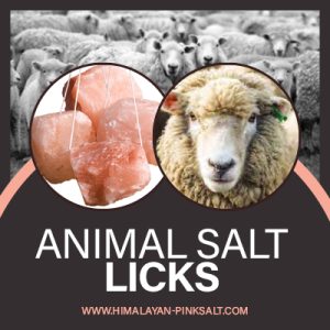 animal lick salt | Himalayan animal lick salt | salt licks | pink salt licks