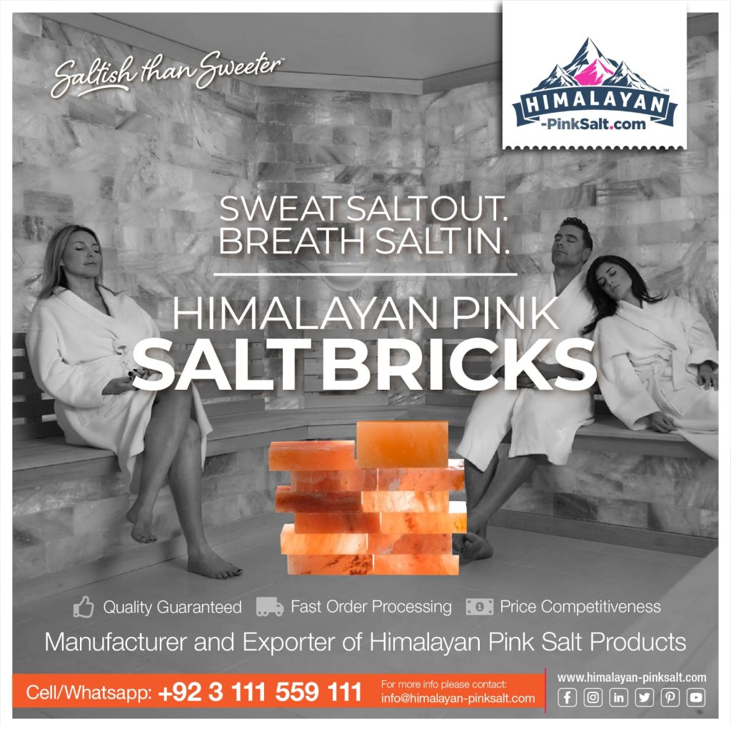himalayan pink salt bricks
