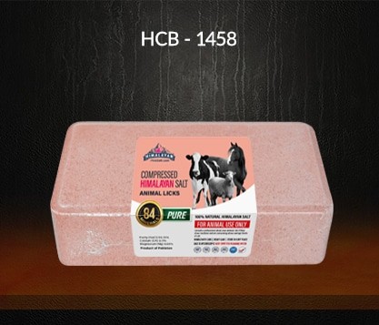 Himalayan Compressed Animal Lick Salt 9