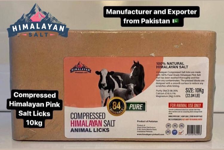 Himalayan Compressed Animal Lick Salt 16