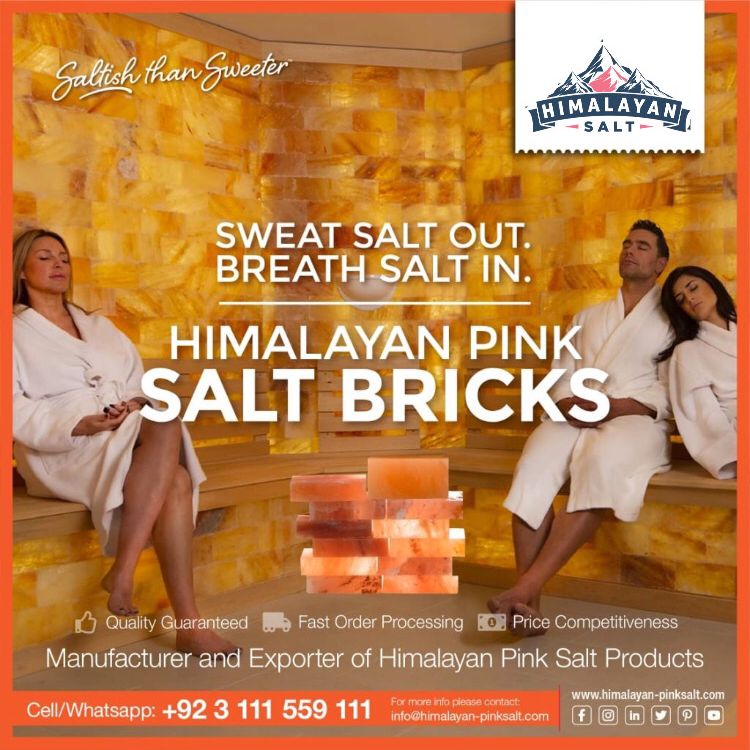 Himalayan Salt Bricks 11