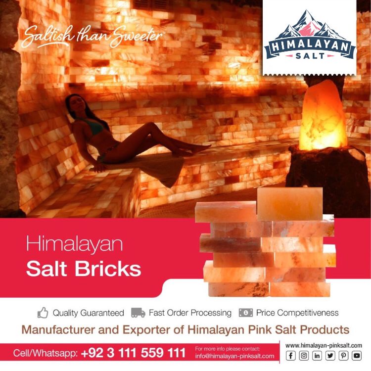 Himalayan Salt Bricks 12