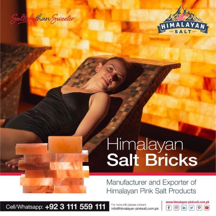 Himalayan Salt Bricks 1