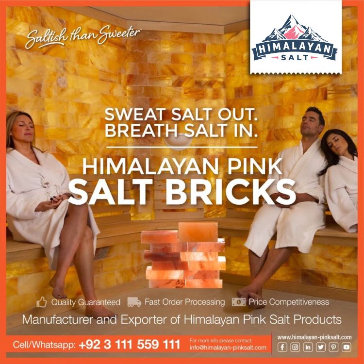 Himalayan Salt Bricks 14