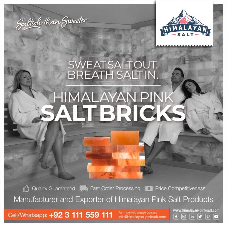 Himalayan Salt Bricks 13