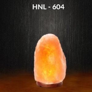 Himalayan Salt Lamps HNL - 604