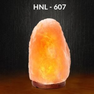 Himalayan Salt Lamps HNL - 607