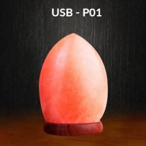 USB Salt Lamp USB - P01