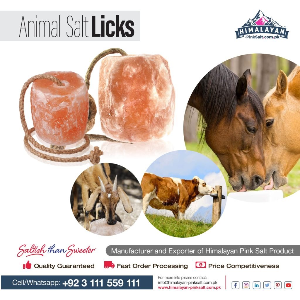 Animal Lick Salt