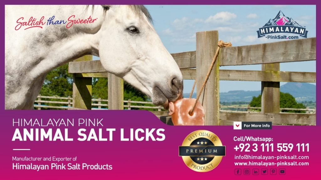 Animal Lick Salt