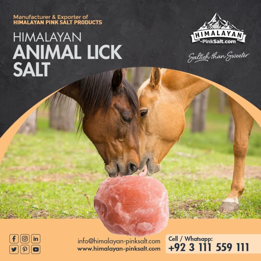 Animal Lick Salt