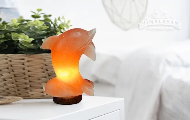 Animal Salt lamp Largest Exporter