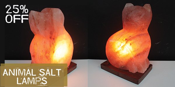 Animal Shape Salt Lamps