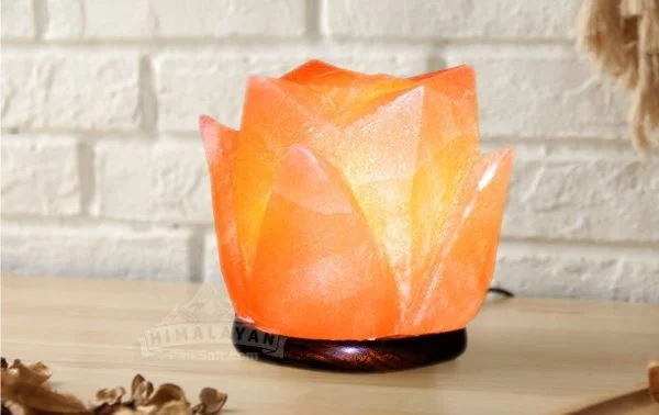 Color changing salt lamp With USB Plug