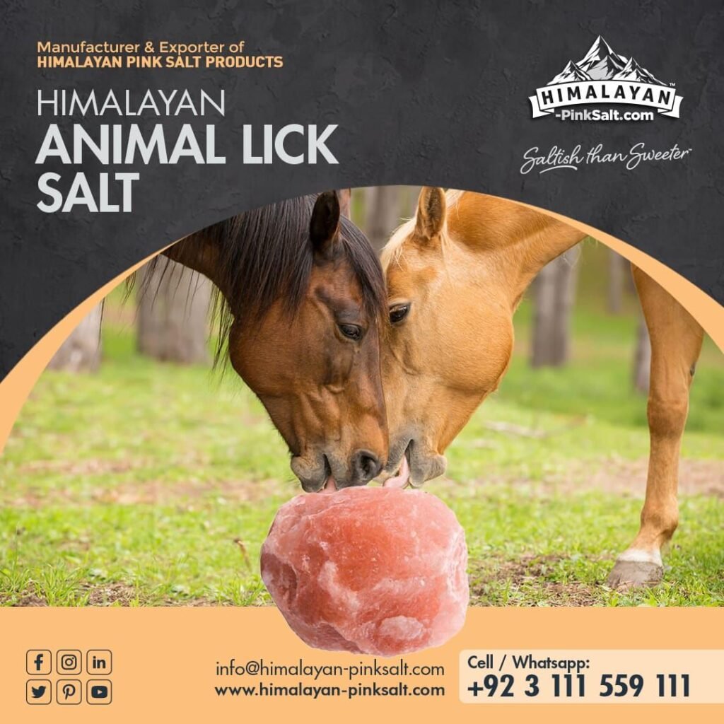 animal lick salt