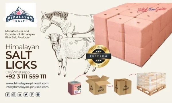 compressed animal lick salt
