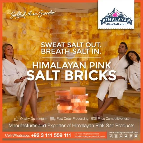 salt bricks