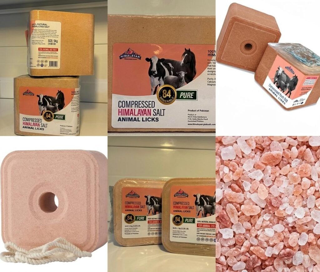 compressed animal lick salt
