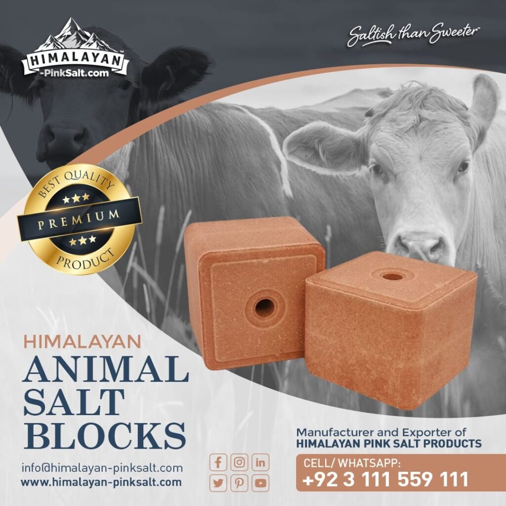 Compressed Animal Lick Salt Block